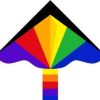 Ecoline: Rainbow Simple Flyer