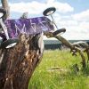 MBS COLT 90 Mountainboard/Landboard and 4 m HQ Scout III Kite Package