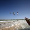 Core XR5 Kite 19m