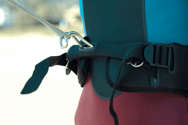 Ozone Wasp V2 Harness Line