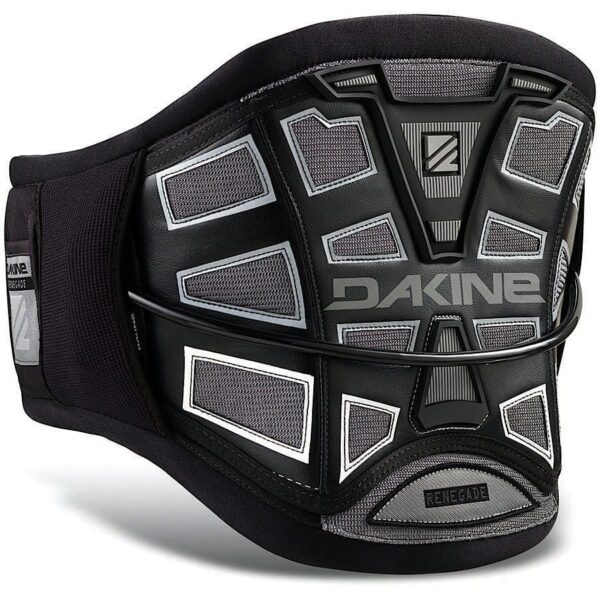 2014 Dakine Renegade